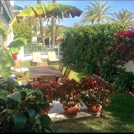 Oasis Club Beach